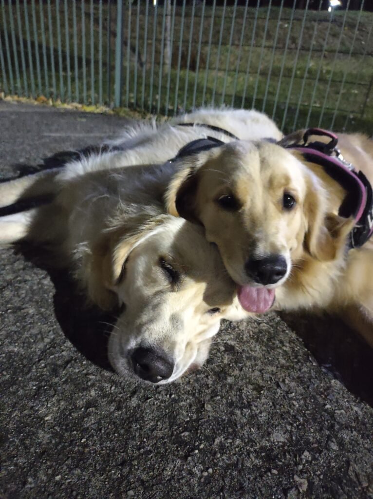 IMG_20220220_205040967